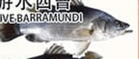 游水西曹